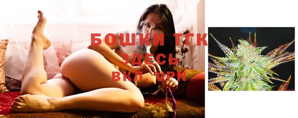 мяу мяу кристалл Осинники