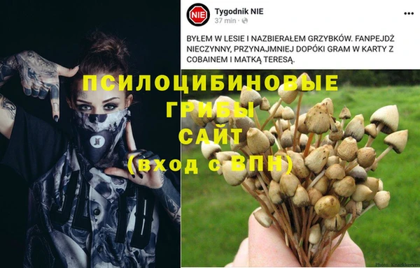 мяу мяу кристалл Осинники