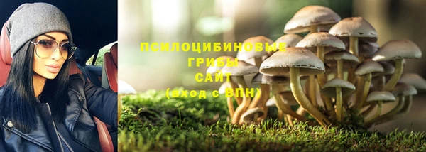 соль ск Нязепетровск