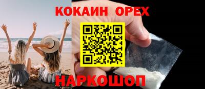 сатива Кудрово