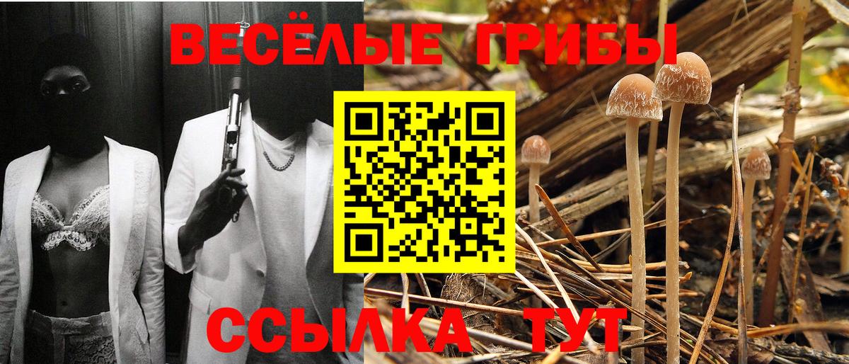 Галлюциногенные грибы мухоморы Торжок