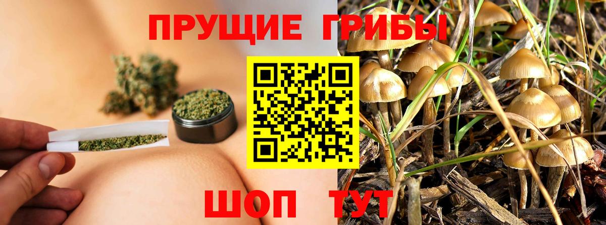 Галлюциногенные грибы Magic Shrooms  Вход с VPN  Торжок 